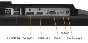 Die Anschlüsse des Monitors: Alles was man wirklich braucht (Bild: Asus).